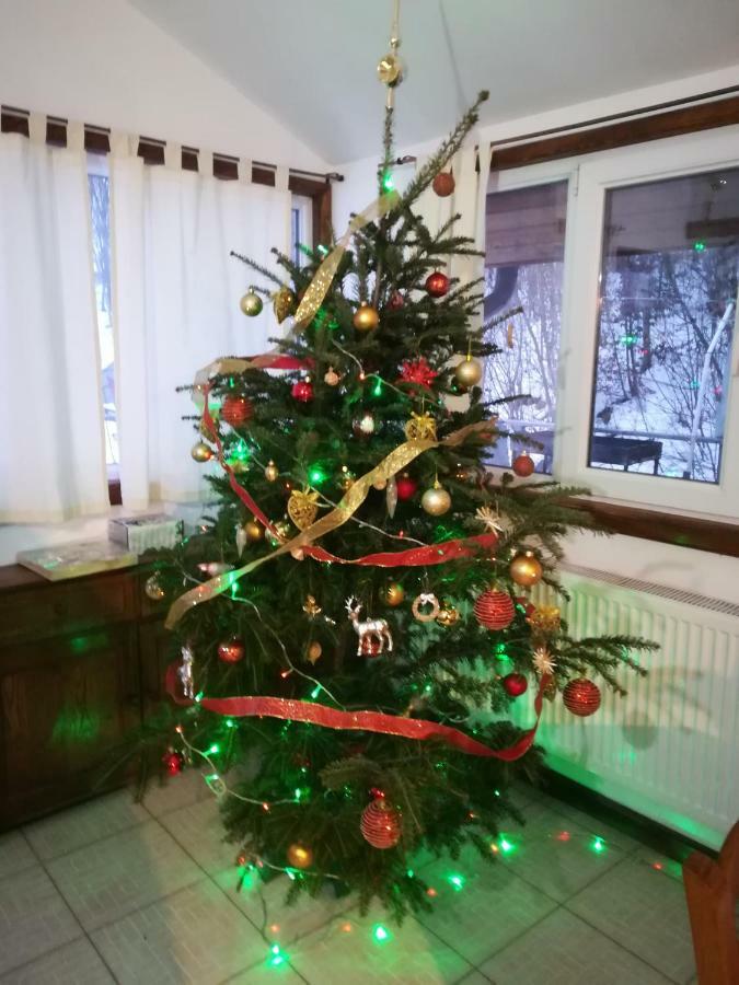 Vila Margareta Curtea de Argeş Екстериор снимка