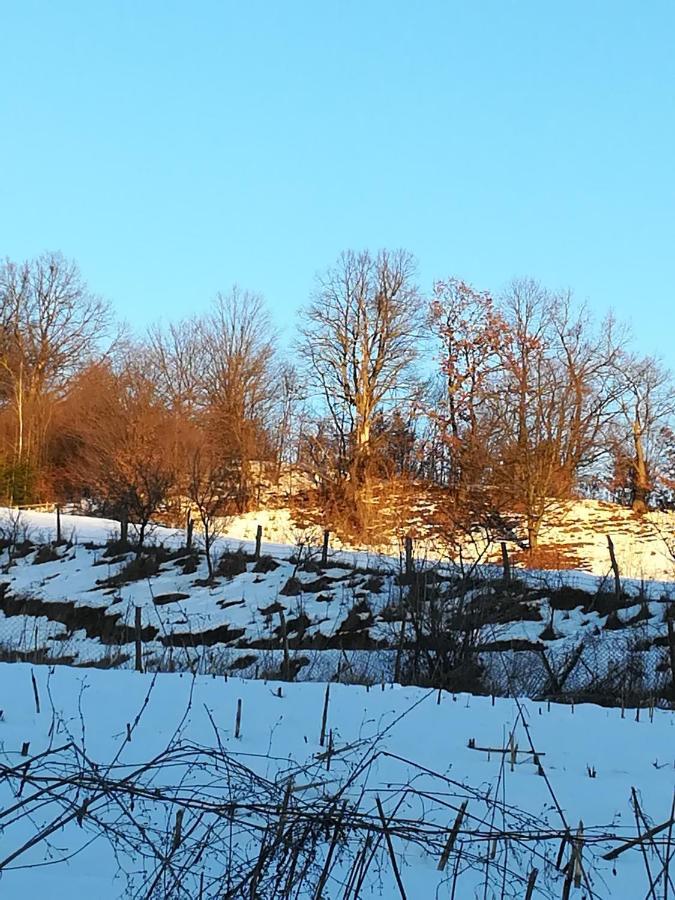 Vila Margareta Curtea de Argeş Екстериор снимка